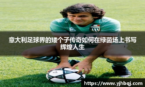 江南体育